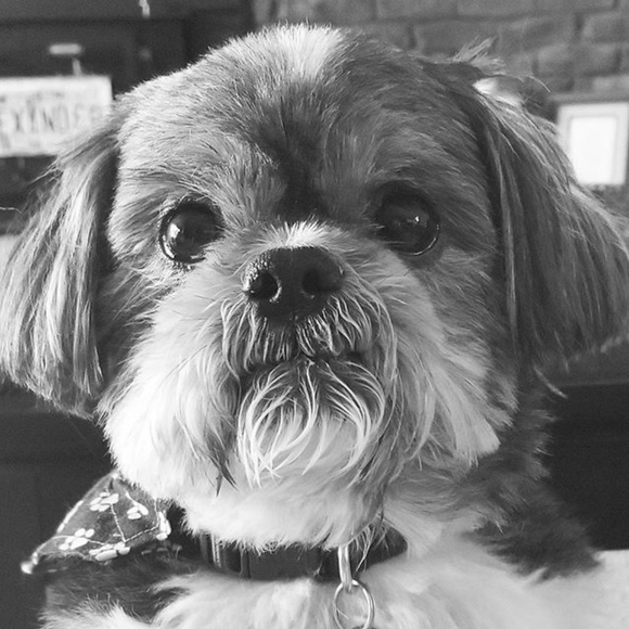 Meet your Posher, Erika - Picture 6 of 6